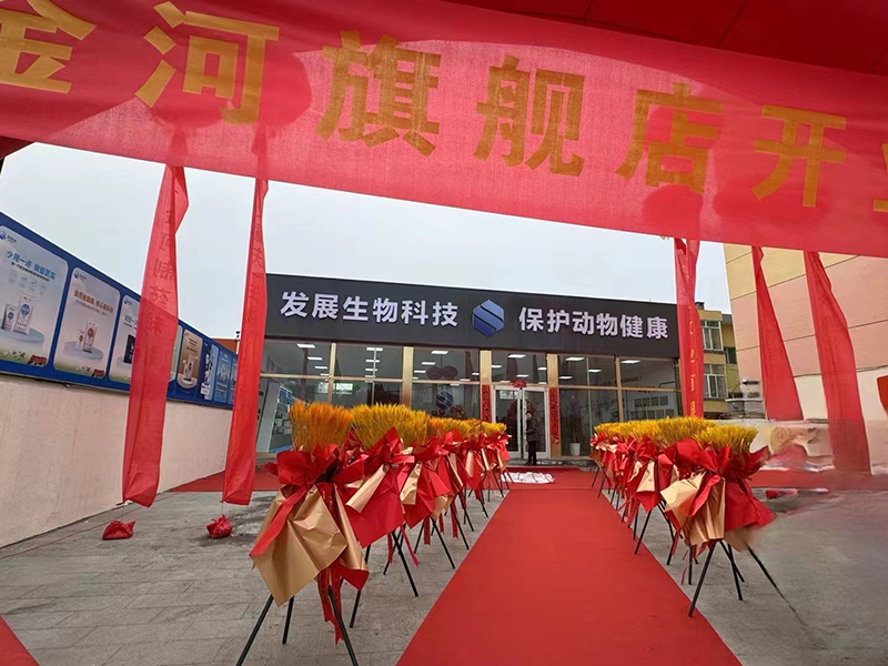 久久无码av高潮av喷吹捆绑